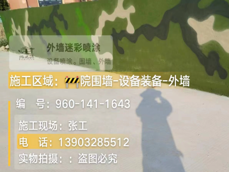 惠州 迷彩漆喷涂价格（按平方米计费）