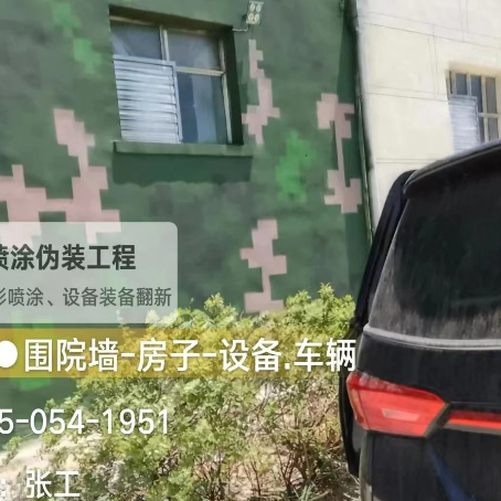 惠州数码迷彩漆施工